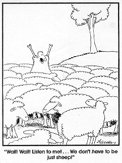 Social psychology Far Side Cartoon of one sheep telling the rest "they don't all have to be just sheep!"