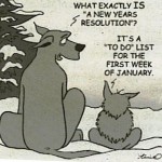 resolution list