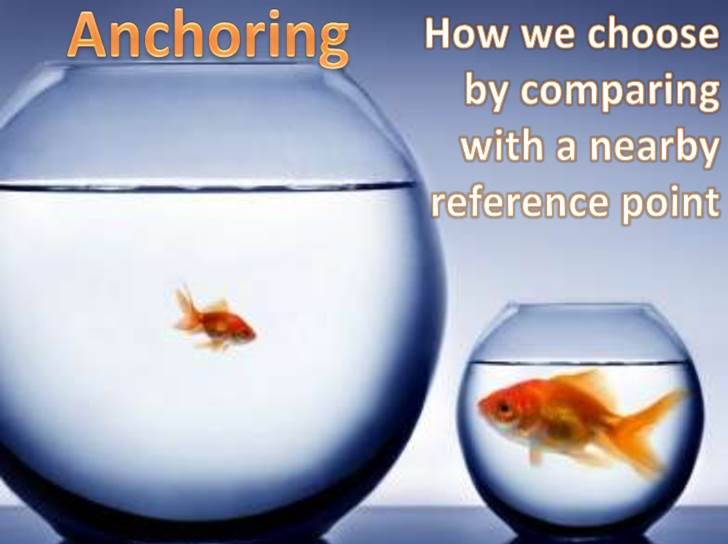 photo of goldfish to illustrate anchoring concept in psychology