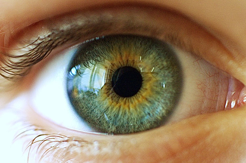 closeup photo of a human eye