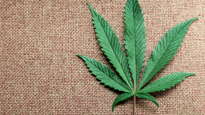 photo of marijuana leaf